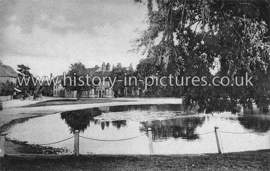 The Pond & Village, Writtle, Essex. c.1910